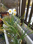 IMAG0505.jpg