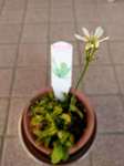 IMAG0534.jpg